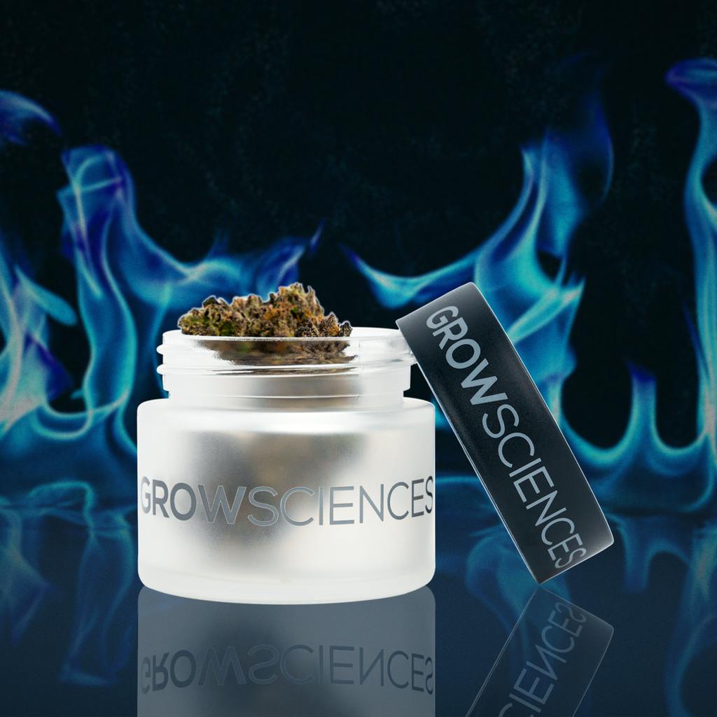 Grow Sciences Puddles 3.5g Flower