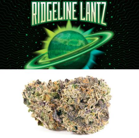 COOKIES - RIDGELINE LANTZ (3.5G) (I)