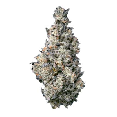 FIG FARMS - DONUT SHOP (3.5G) (I) - 3.5 g