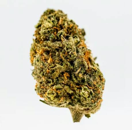 OUTFITTERS - DIRTY ZPRITE (3.5G) (H) - 3.5 g