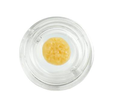 RYTHM - ANIMAL SCOUT LIVE ROSIN (1G) (I) - 1 g