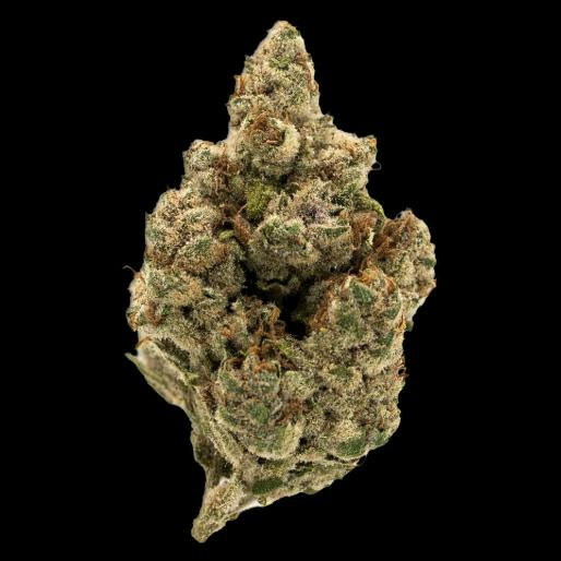 DNA GENETICS - CHOCO MINTZ (3.5G) (IH) - 3.5 g