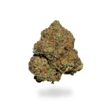 OUTFITTERS - JUNGLE PUNCH (3.5G) (H) - 3.5 g