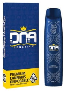 DNA GENETICS - HONEY BeeZ LIVE RESIN AIO - 1 g