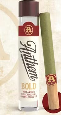ANTHEM BOLD JACK HERER - 1 g at Dispensary Namaste Hodgkins