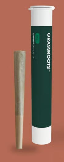 GRASSROOTS- NOVARINE PREROLL - 1 g