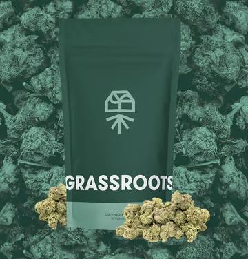 GRASSROOTS - PAPAYA DRIP #7 - (14G) (I)