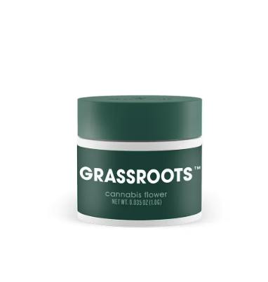 GRASSROOTS - FUZZY NAVEL (1G) (S) FLOWER