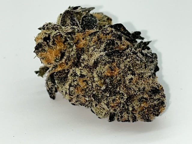 Black Haze