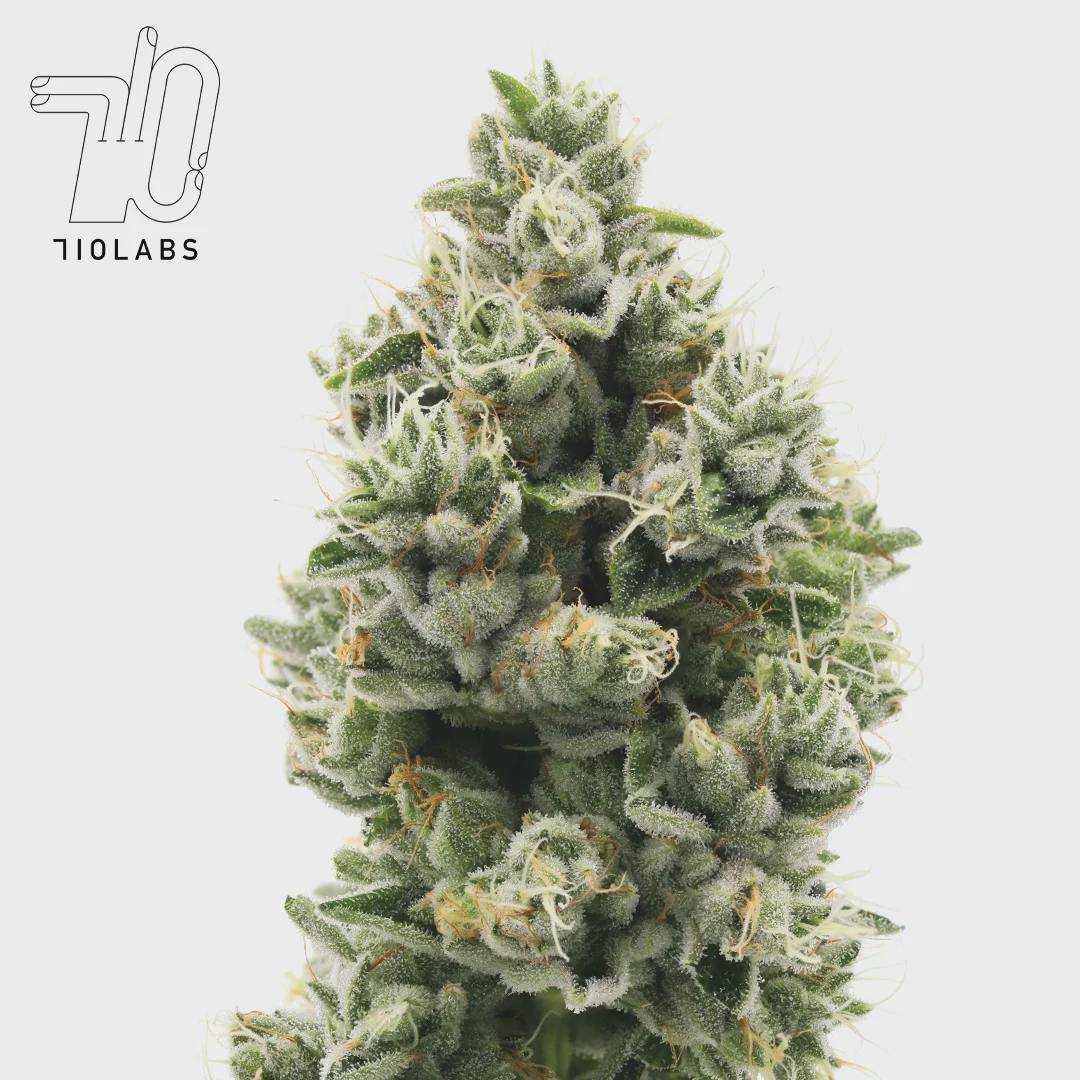 710 Labs - Zimosa #2 - Deli Flower
