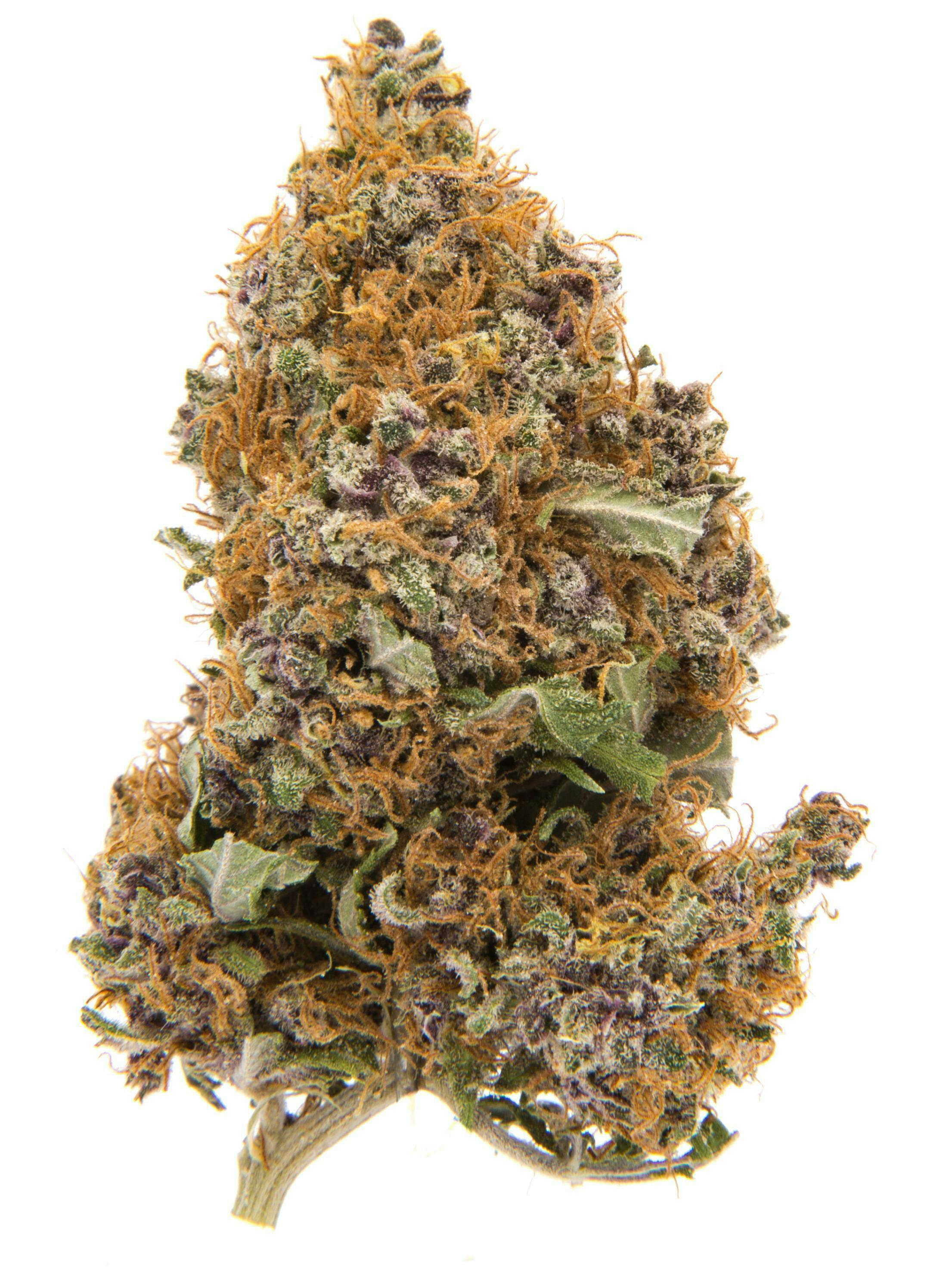 Chico Verde Purple: Purple Zkittlez