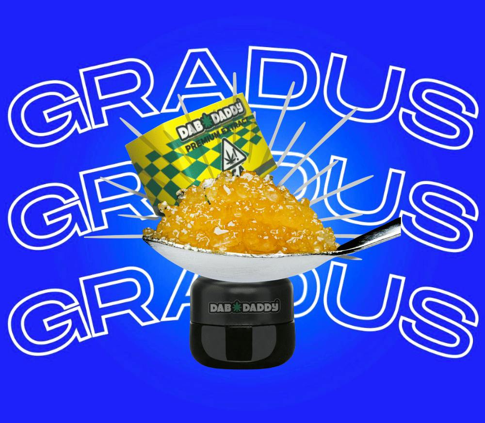 Dab Daddy - Dab Daddy - Caviar - Rainbow Sherbet - 1.0g