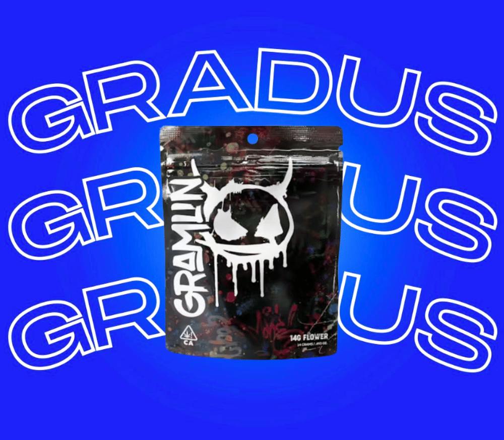 Gramlin - Gramlin Lil' Gramlins Flower - Daily Grapes #9 x Dip n Stix 14g - 14 grams