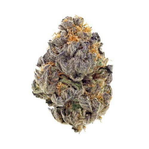 Evergreen Cultivation - Blue Cookies - Bulk Flower (I)