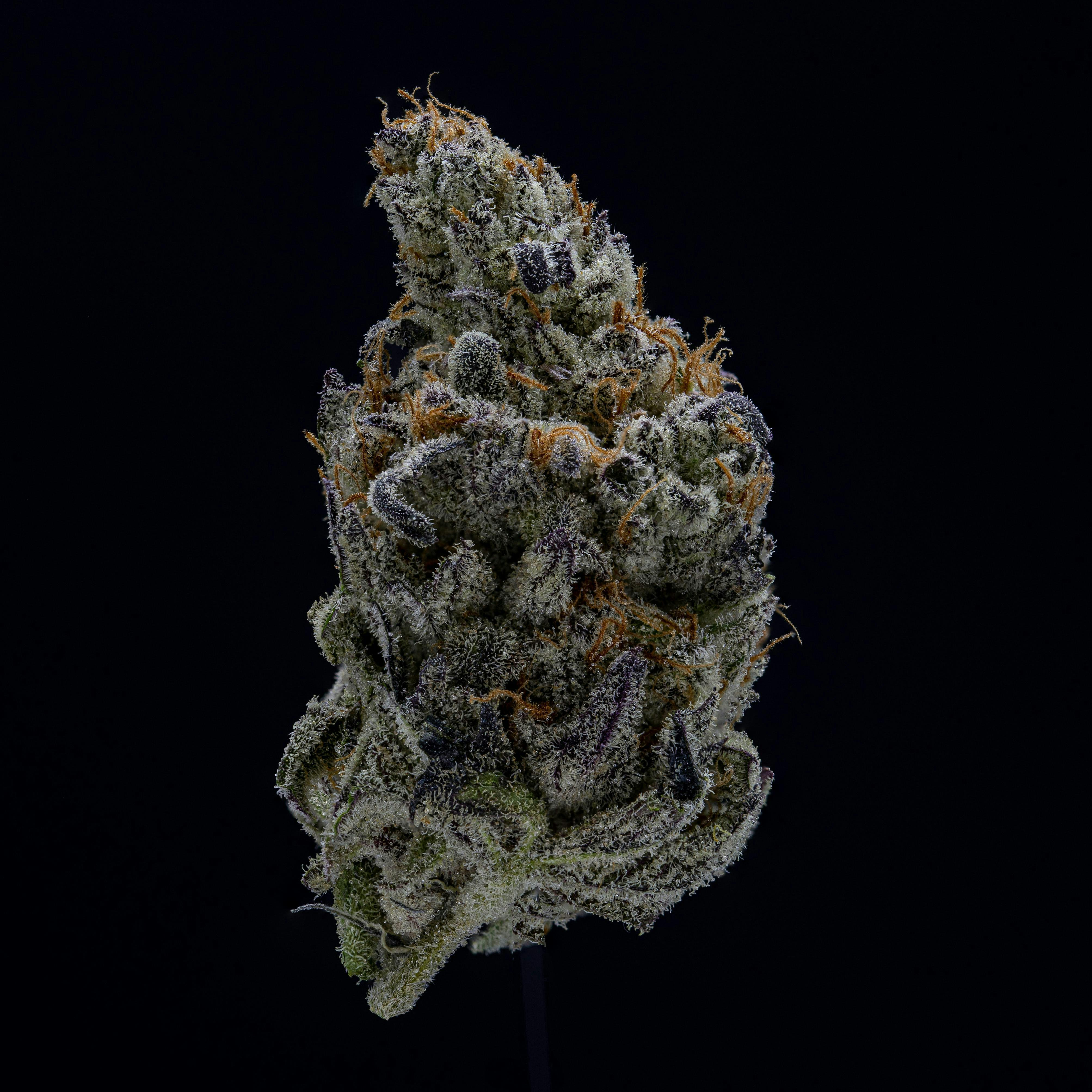 Bud & Mary's - Devil Driver - Bulk Flower - Smalls - (S)