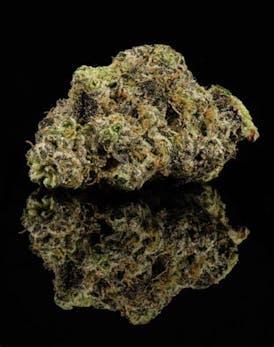 Primitiv - Mexican Flan - Flower - 3.5g (H)