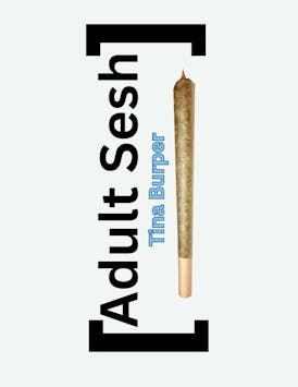 Adult Sesh - Tina Burper - Resin Infused Preroll