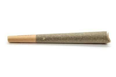 Evergreen Cultivation - Zero Gravity - Deli Style Preroll