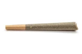Rollz - Lime Sorbet - Prerolls