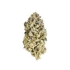 Evergreen Cultivation - Honey Jungle - Bulk Flower (S)