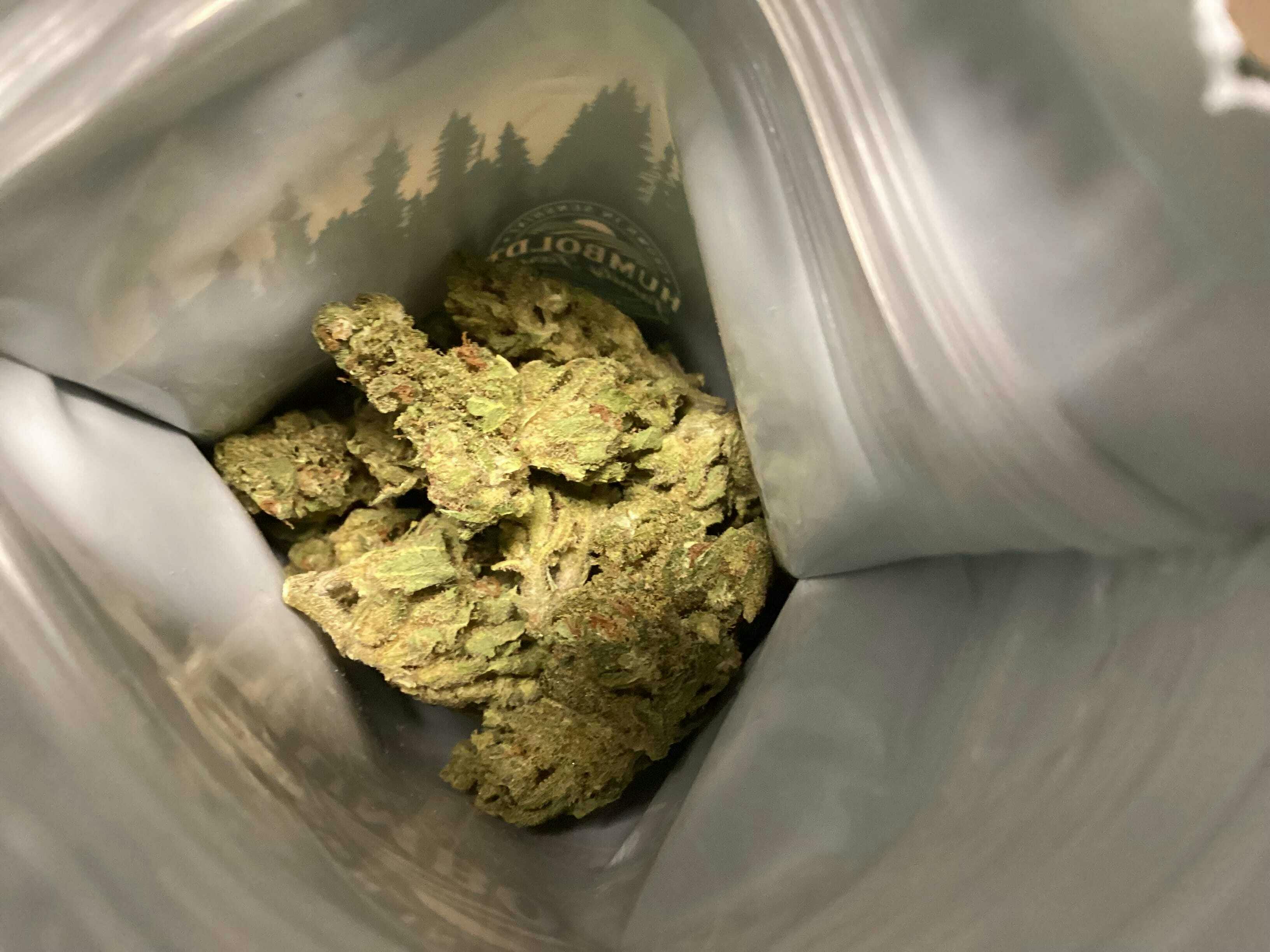 Humboldt Family Farms: Jack Herer