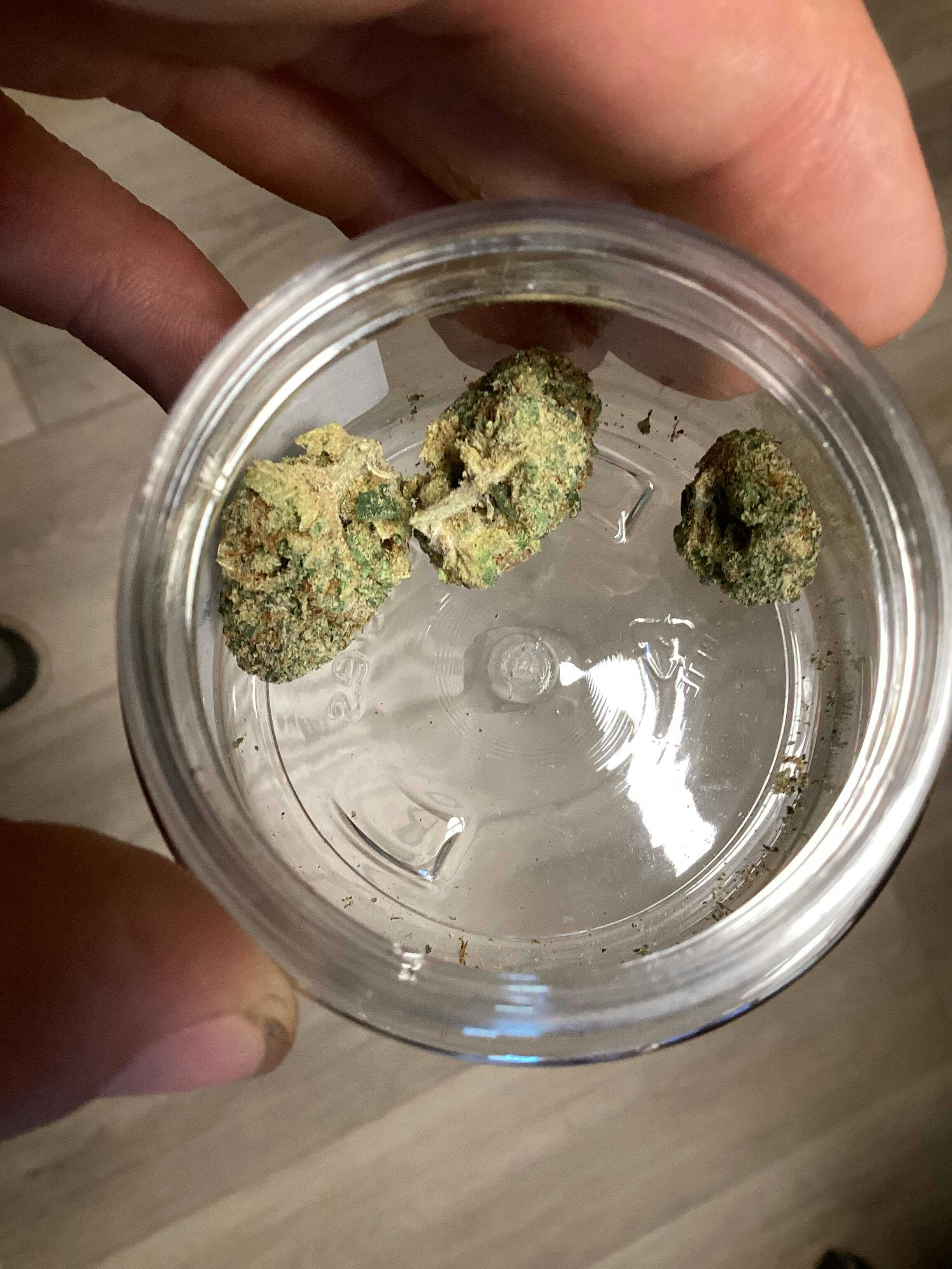PLATINUM PACK: Zkittlez 41 X Butter Cream - 3.5 Items