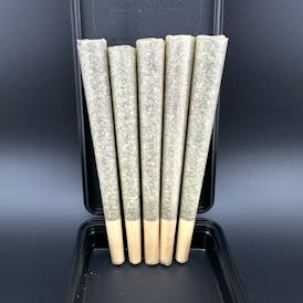 Ice Cream Sundae 5 Pack | King Cone | Indica | SWG