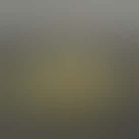 Ice Cream Cake x Sherb Flower | Indica | SWG