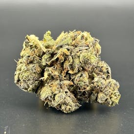 Gelato Discount Flower | Stroudwater General