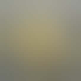 Gelato Discount Flower | Stroudwater General