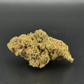 Citradelic Sunset Flower | Sativa | Stroudwater General