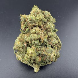 Fizz Discount Flower | Sativa | Stroudwater General
