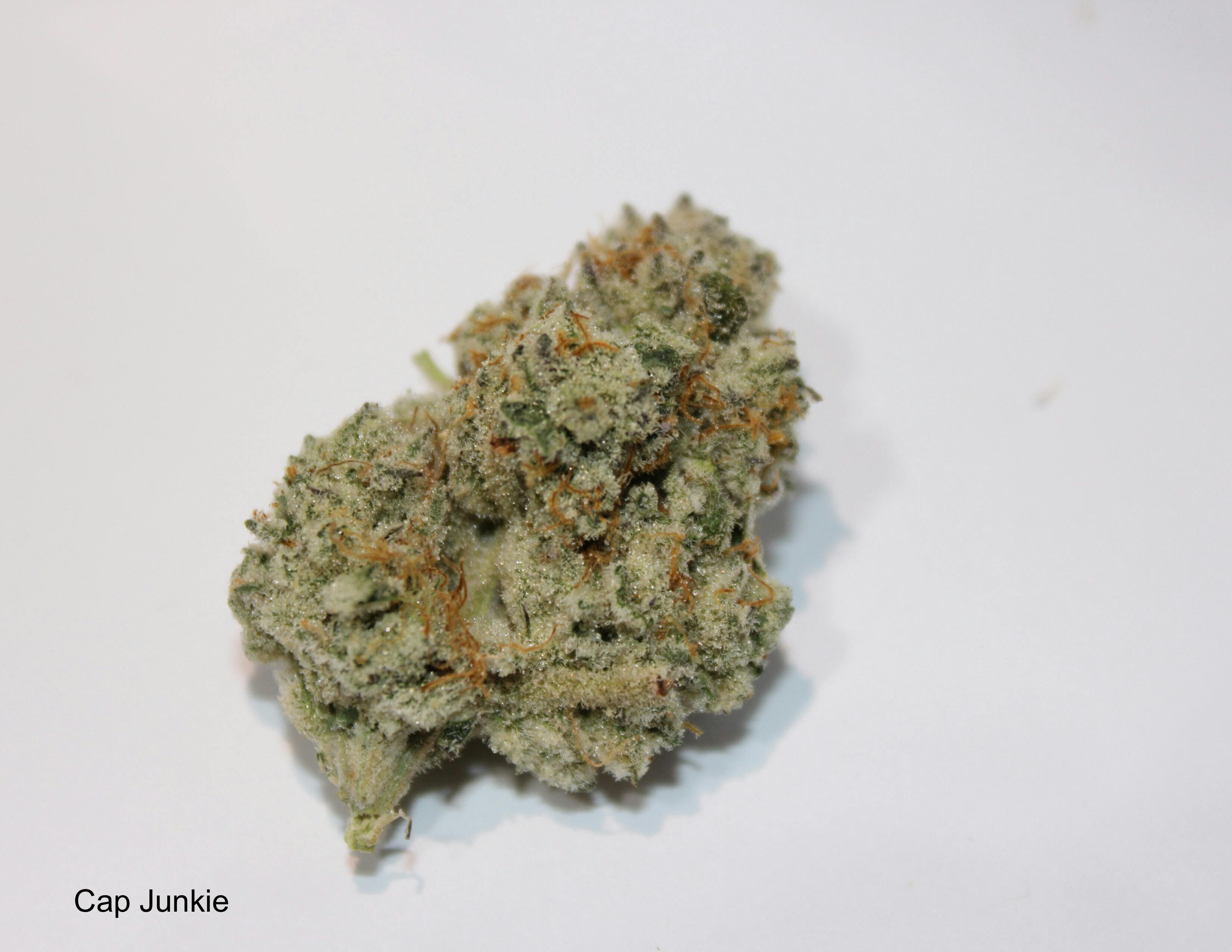 Roemer Farms | Cap Junkie | Flower 3.5g
