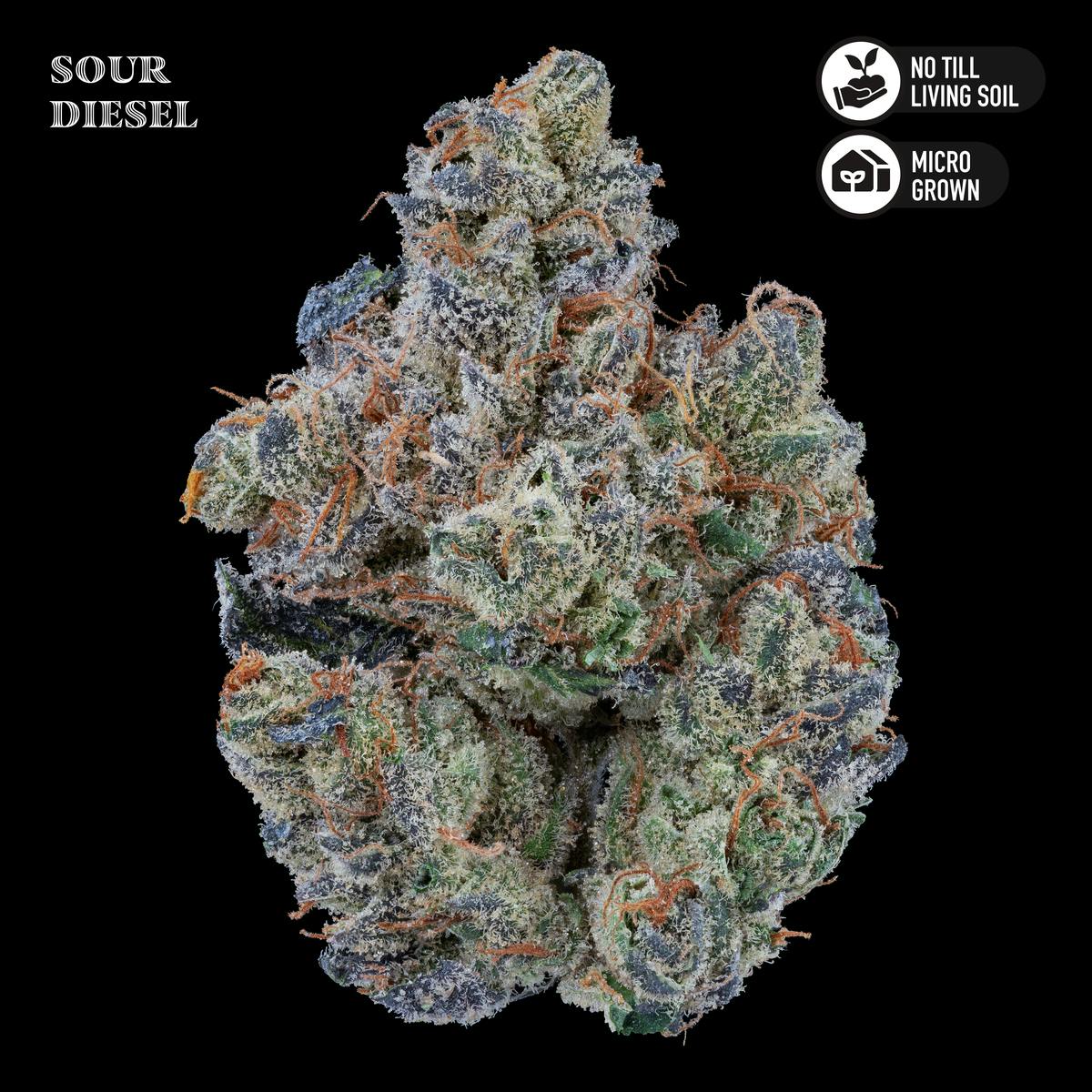 Royal Genetics | Sour Diesel | Flower 3.5g