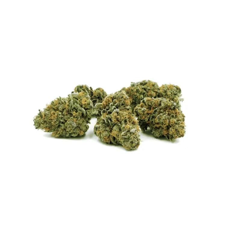 Find.| Modified Goat | Flower | 70g
