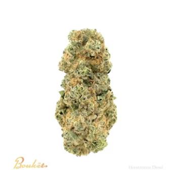 Bouket | Honeymoon Diesel | 3.5G Hybrid
