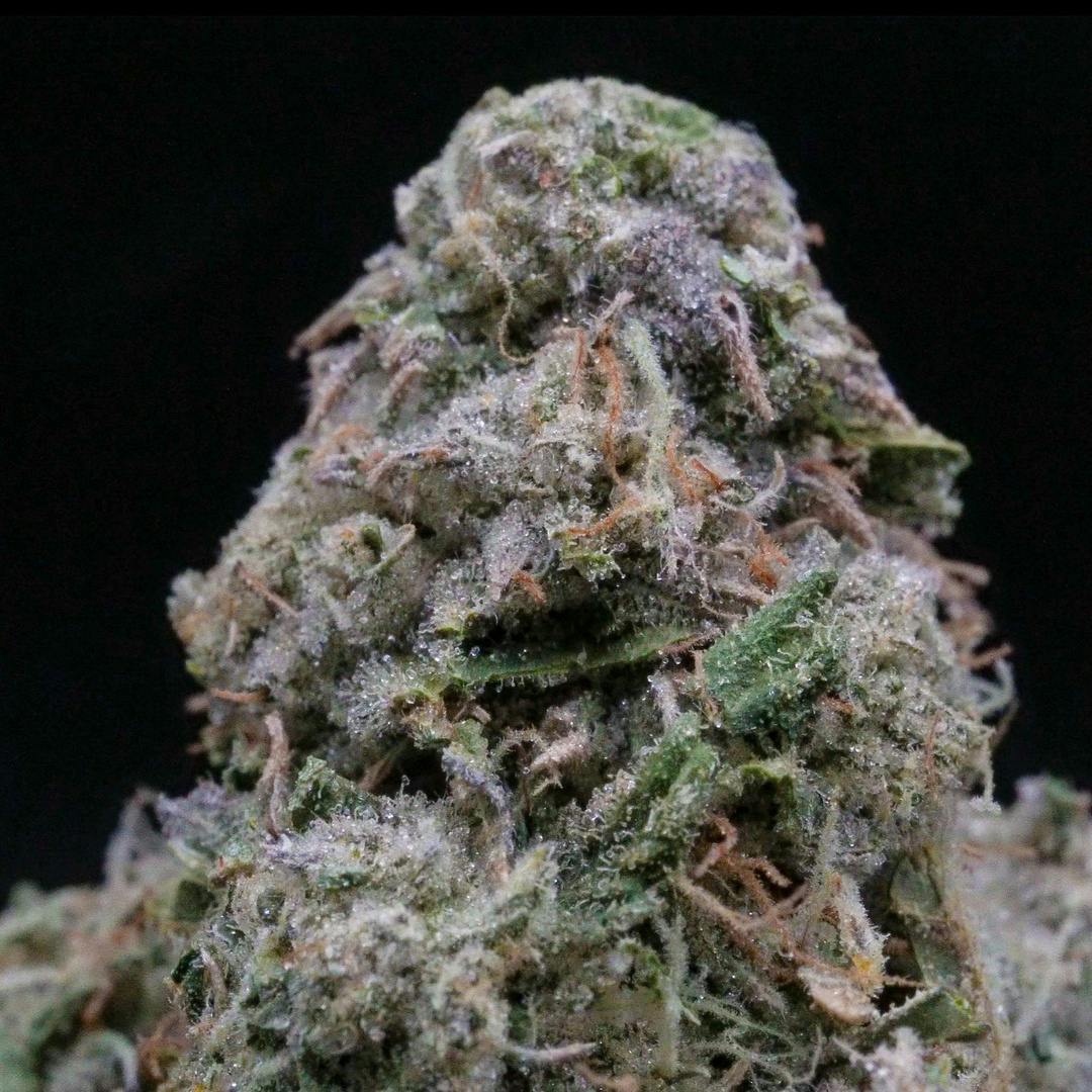 MilkWeed | Toad Venom | 3.5G
