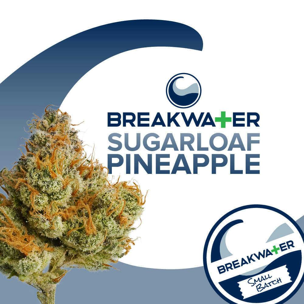 Breakwater Sugarloaf Pineapple