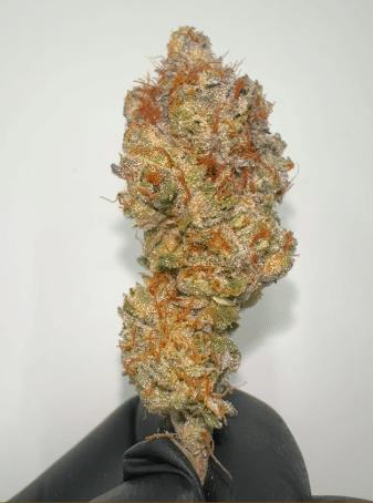 Bass River Buds - Grape Gary 3.5G - A Buds - 3.5 grams