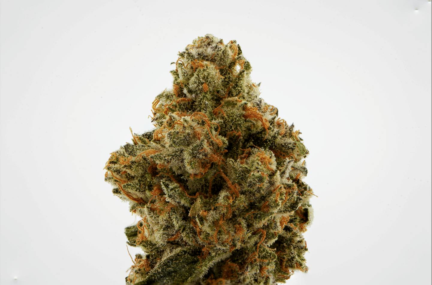 Brighterside Farms - Apple Fritter 3.5G - 3.5 grams