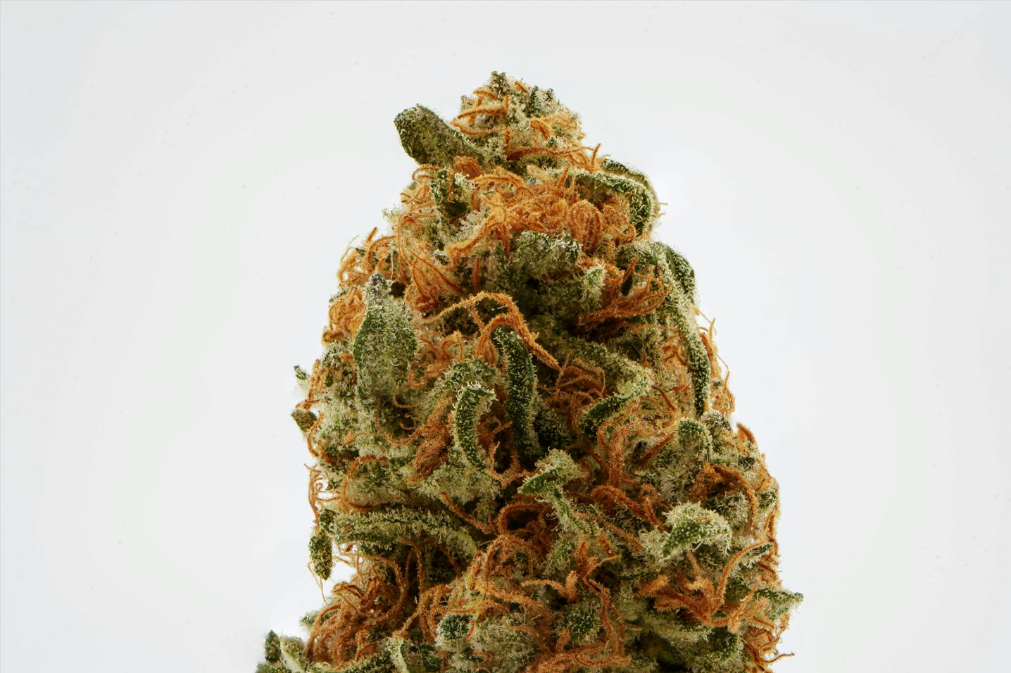Brighterside Farms - Tropical Cooler 3.5G - 3.5 grams