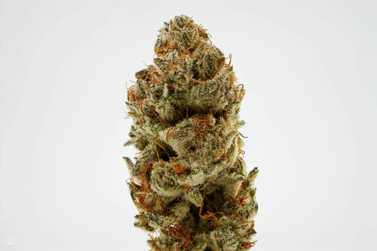 Brighterside Farms - Strawberry 23 3.5G - 3.5 grams