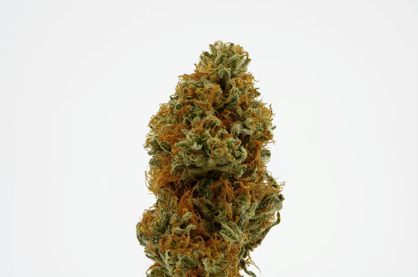 Brighterside Farms - Chem Kesley 3.5G - 3.5 grams