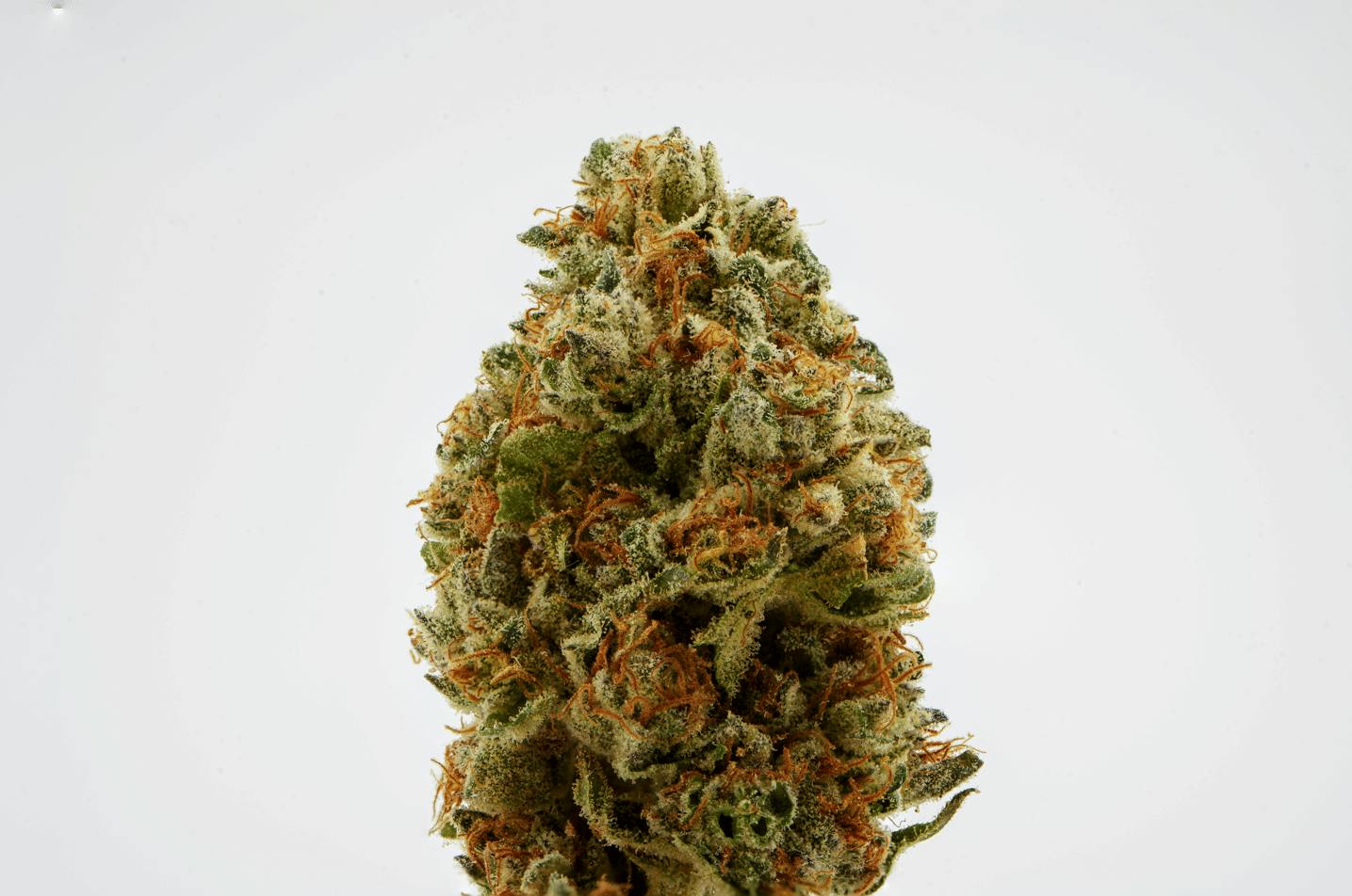 Brighterside Cherry Chunk