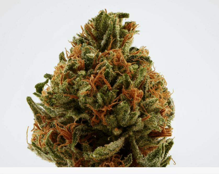 Brighterside Skywalker Og