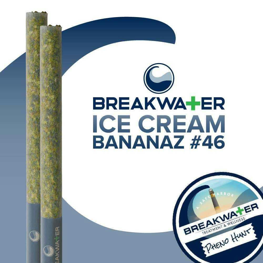 Breakwater Ice Cream Bananaz #462