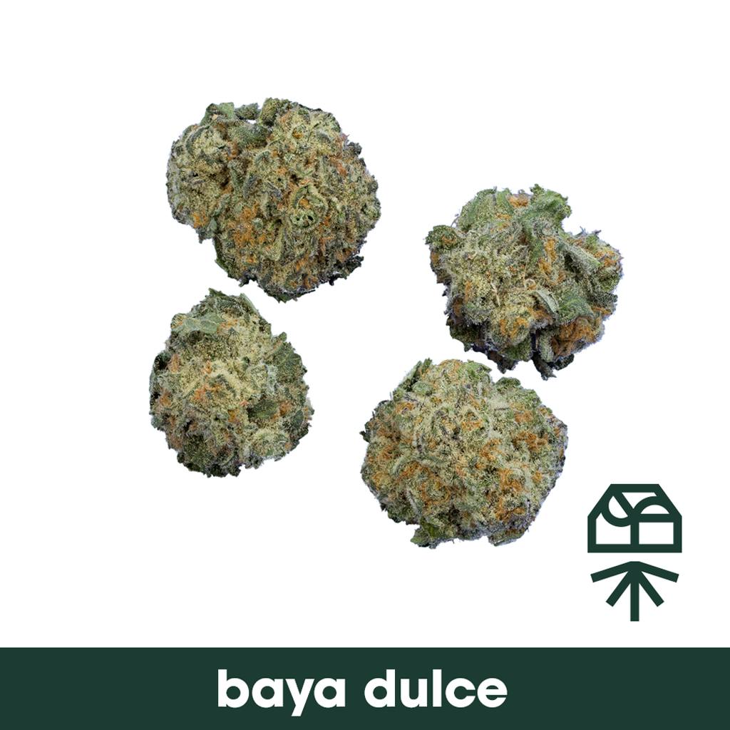 Grassroots Baya Dulce Smalls 3.5g