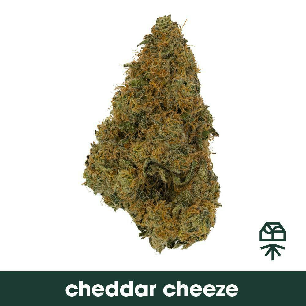 Grassroots Cheddar Cheeze Whole Flower 3.5g cannabis product