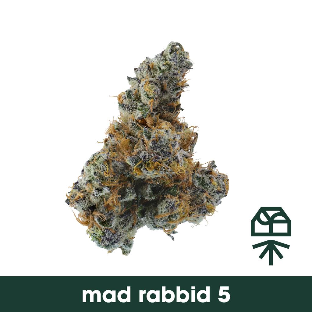 Grassroots Mad Rabbid #5 Whole Flower 3.5g cannabis product