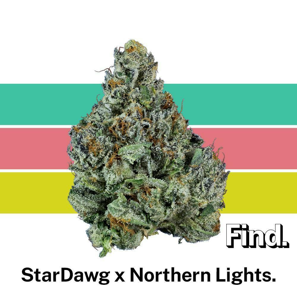 Find. StarDawg x Northern Lights Whole Flower 3.5g